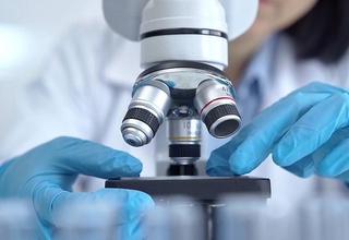 Разработан эффективный метод лечения слепоты