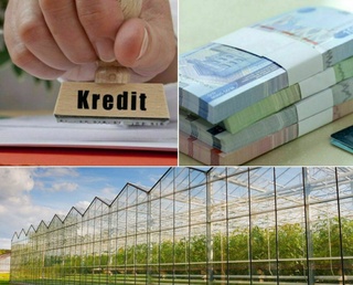 Тадбиркорнинг мулкини гаровга қўйиб, кредит маблағини ўзлаштирган МЧЖ раҳбари аниқланди