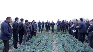 Қашқадарёлик бир гуруҳ ҳоким ёрдамчилари Сурхондарёга ташриф буюришди