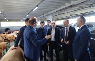 Қашқадарияда құны 1,8 миллион доллар болатын инвестициялық жоба жүзеге асырылады