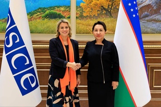 A meeting with the Special Representative of the OSCE Chairman-in-Office on Gender Issues took place in the Senate