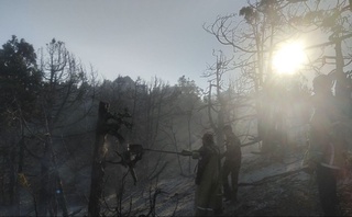 Бойсундаги арчазорда рўй берган ёнғин 13 соат деганда ўчирилди