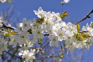 Прогноз погоды на день 14 марта