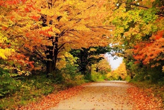 Прогноз погоды на 12 октября