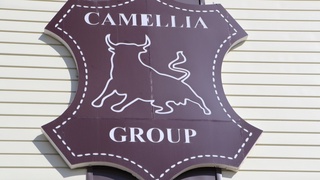 В Навои открылось предприятие по переработке кожи