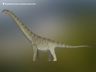 Хитойда динозавр қолдиқлари топилди