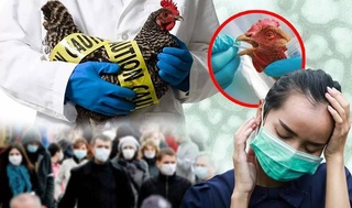 WHO experts expressed concern about the possibility of the spread of avian flu among humans