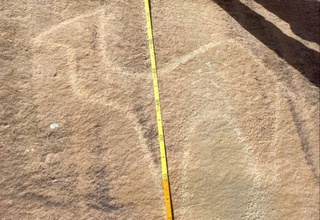 В Сурхандарьинской области археологи обнаружили древнее резное изображение одногорбого верблюда