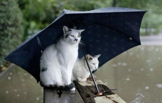 Прогноз погоды на день 22 апреля