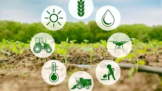 ИПМИ провел рейтинговую оценку регионов Узбекистана по уровню развития кластеров