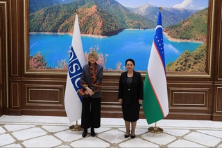 Prospects of cooperation with the OSCE Secretary General discussed