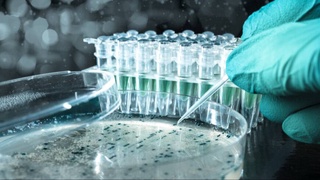 В Японии стремительно распространяется опасная болезнь, разъедающая тело: грозит ли миру новая пандемия?