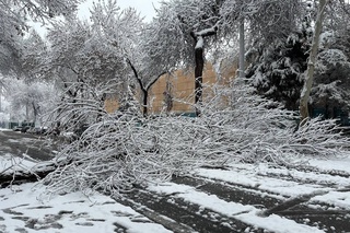 Тошкент шаҳар ҳокимлиги фуқароларни огоҳлантирди