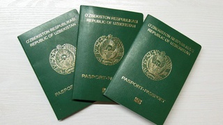 1 million dollar sarmoya kiritgan xorijlik Oʻzbekiston fuqaroligini olishi mumkin