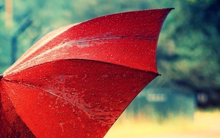 Пара дождей - и лето. Прогноз погоды на неделю