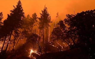 Хитой: ўрмон ёнғини туфайли 3 мингдан ортиқ киши эвакуация қилинди