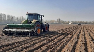 Andijonda toʻqsonbosti ekinlari ekilmoqda