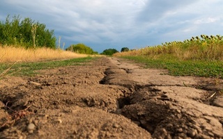 Қитъаҳои Замин бо суръати бесобиқа хушк мешаванд – тадқиқот
