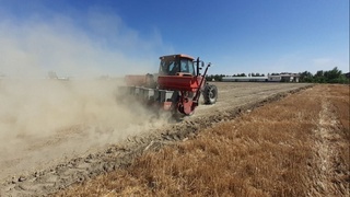 Бухорода ғалладан бўшаган майдонга чигит экилмоқда