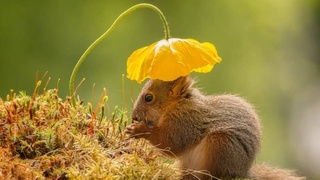 Умеренно жаркая погода сохранится в течение недели