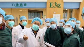 Эксперты ВОЗ начали расследование происхождения Covid в Ухане