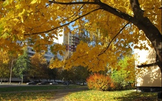 Прогноз погоды на 11 декабря