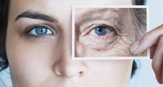 Ученые нашли способ омолодить клетки