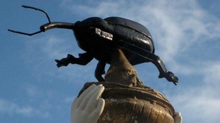 Қўнғизга ҳайкал қўйилганини биласизми?