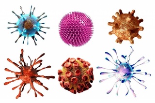 WHO predicted a new pandemic: what to prepare for in the future?