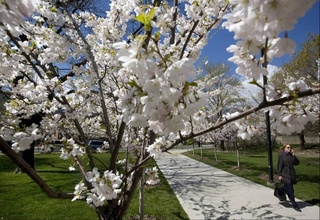 Пешгӯии обу ҳаво барои 18 март