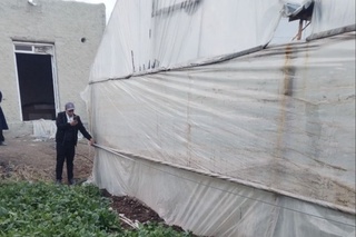 Бухорода табиий газдан ўғринча фойдаланган иссиқхона аниқланди