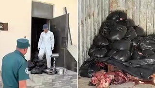 Тошкентга 361 кг эшак гўштини олиб кетаётган “Lacetti” тўхтатиб қолинди