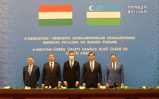 Узбекистан-Венгрия: бизнесменам двух стран создали благоприятные условия и призвали активизировать сотрудничество