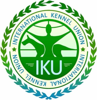 “Vatanparvar” tashkiloti Xalqaro kinologiya ittifoqiga a’zo bo‘ldi