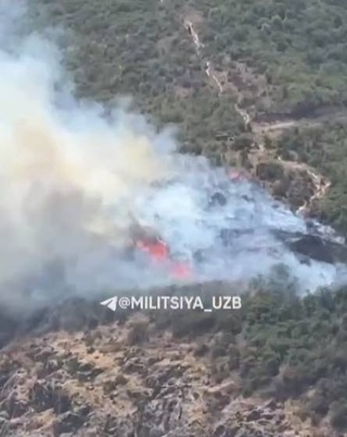 На территории Бостанлыкского района зафиксирован природный пожар