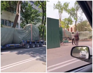 Daraxtlarni boshqa joyga ko'chirganlarga jinoiy ish ochildi