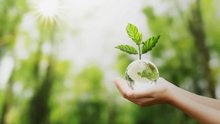 Сберечь природу - самая важная задача