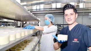 Инвестиционный порт для предпринимателей