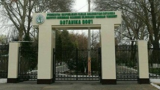 Toshkent shahar hokimligi: botanika bogʻi Toshkent shahar hokimligi balansiga oʻtkazilmaydi