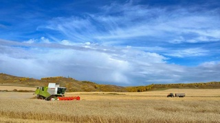 Усердный труд приносит счастье