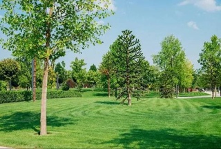 В Ташкентской области создадут 23 «Зеленых сада»