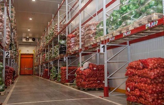 Қытай Сырдария облысында агрологистикалық кешен салады