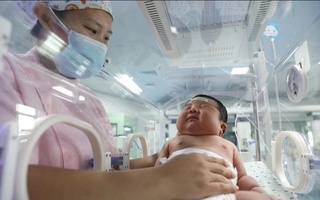 Xitoylik olimlar bepushtlikni davolashning yangi usulini topishdi