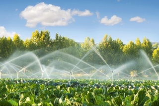 Elu yurt bilan hamdard yashagan doimo elda aziz