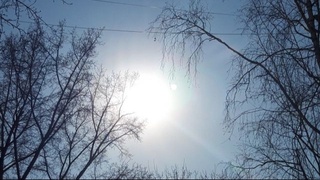 В выходные температура воздуха существенно не изменится