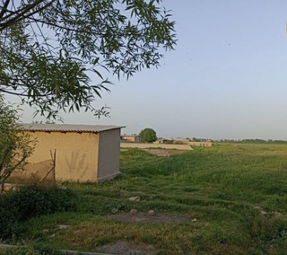 Fuqaroning 16 500 AQSH dollarini qoʻlga kiritgan korxona rahbari aniqlandi