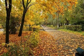 Пешгӯии обу ҳаво барои 1 декабр