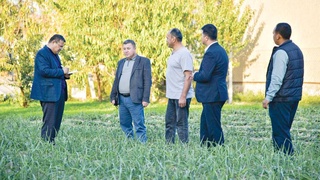 Какую поддержку оказывают помощники хокимов?