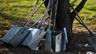 Мамлакат мигрантларсиз қандай кун кечиради?