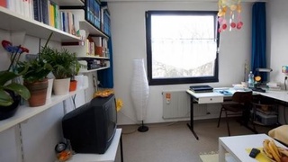 1-bosqich talabalaridan ijara toʻlovini qoplashga onlayn arizalar qabul qilinmoqda